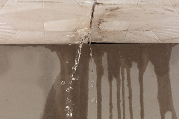 Professional Sewage Cleanup technician working in Seville, FL